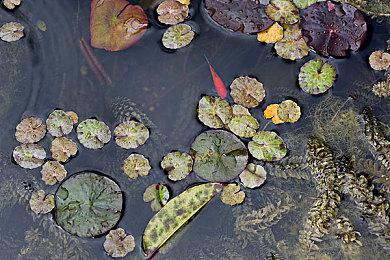 《人中之龙０ 誓约的场所 导演剪辑版》公开真人版宣传视频的拍摄花絮 